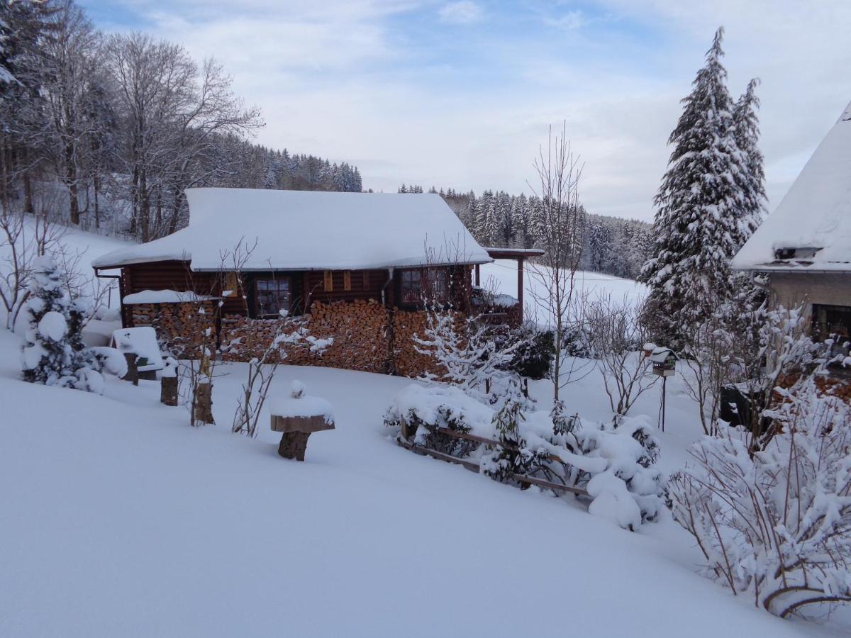 Ferienhaus Sachse Villa Pockau Dış mekan fotoğraf