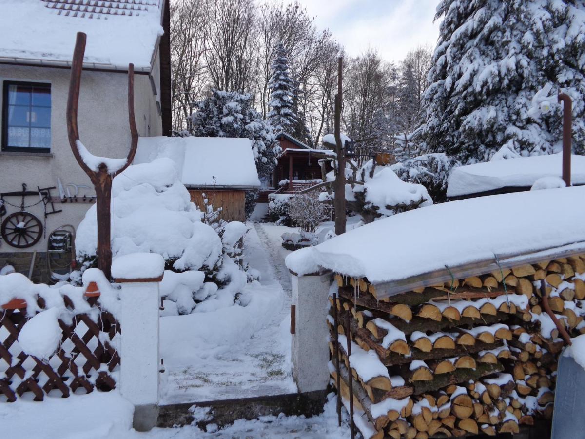 Ferienhaus Sachse Villa Pockau Dış mekan fotoğraf