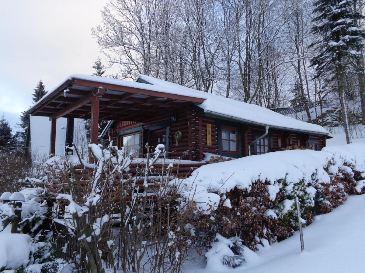 Ferienhaus Sachse Villa Pockau Dış mekan fotoğraf