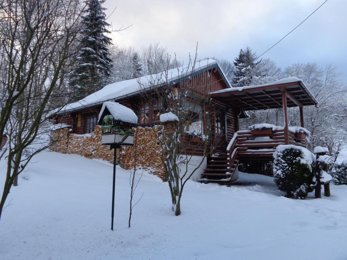 Ferienhaus Sachse Villa Pockau Dış mekan fotoğraf